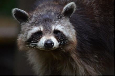 山口 竣矢の画像